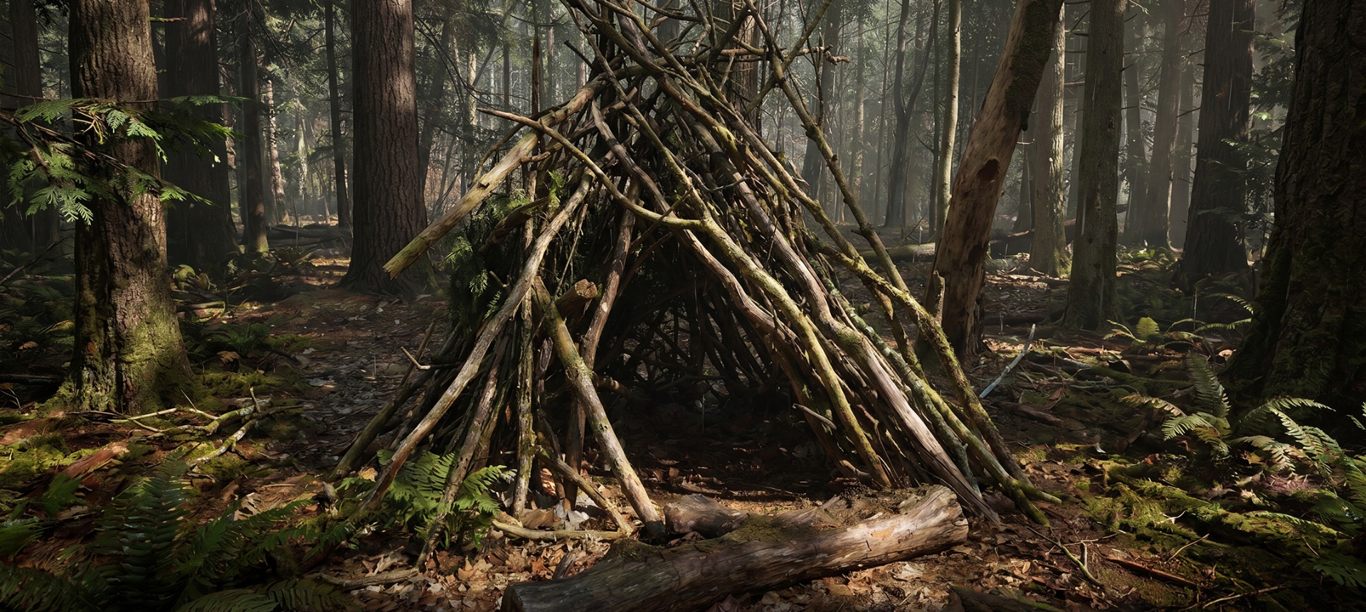 A makeshift shelter of branches in a misty forest